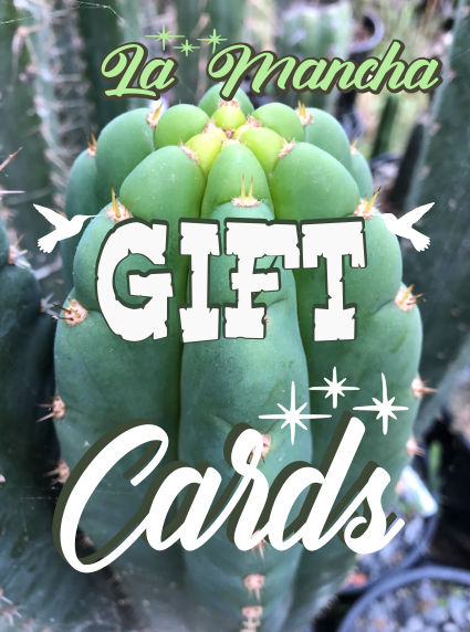 La Mancha Nursery Gift Card